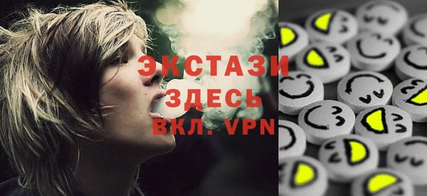 индика Гусев